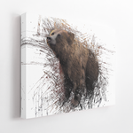 framed close up luxury bear wall art